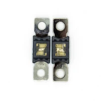 WATTSTUNDE® ANM Hochlast-Streifen-Sicherung 2x100A